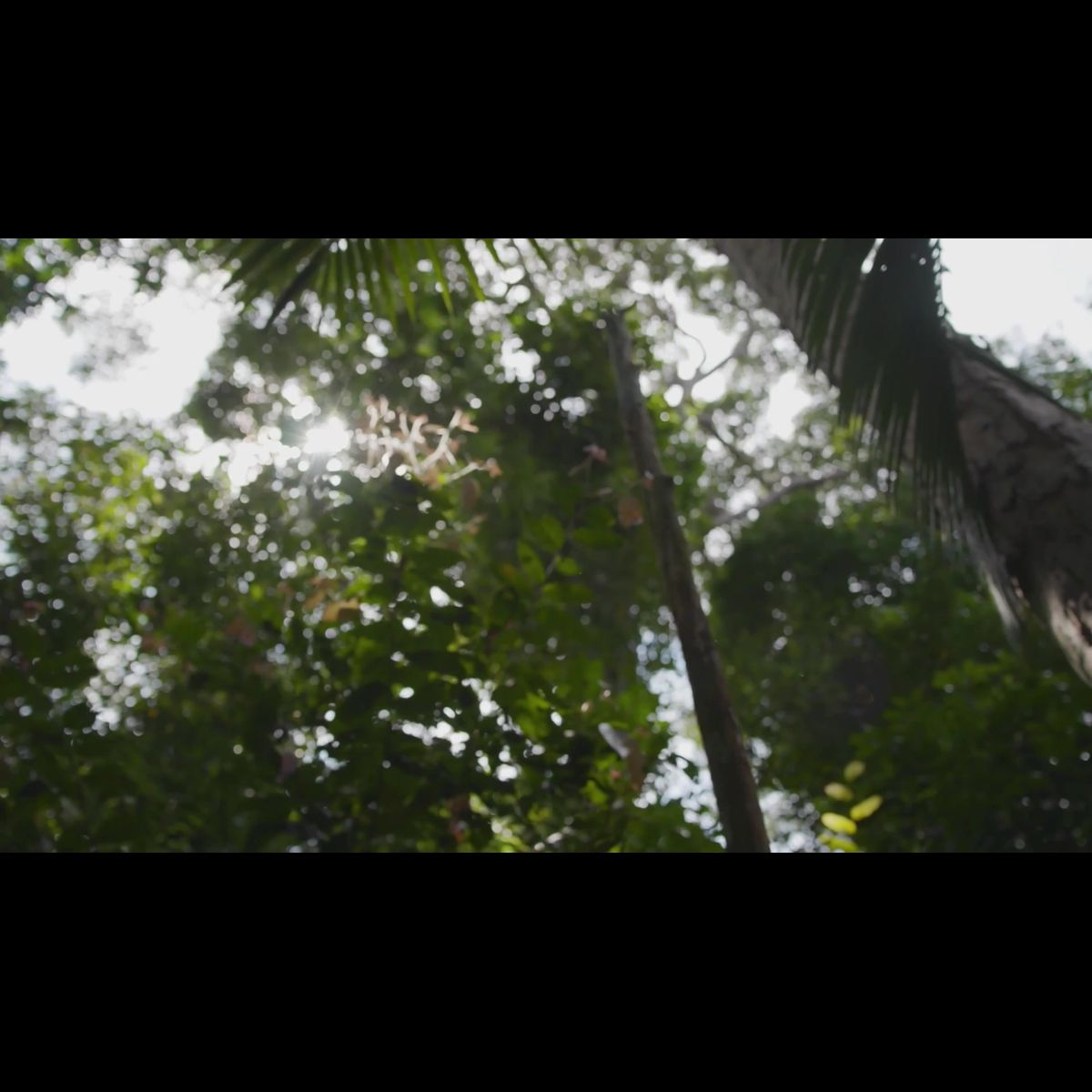 Secure Connected Habitat