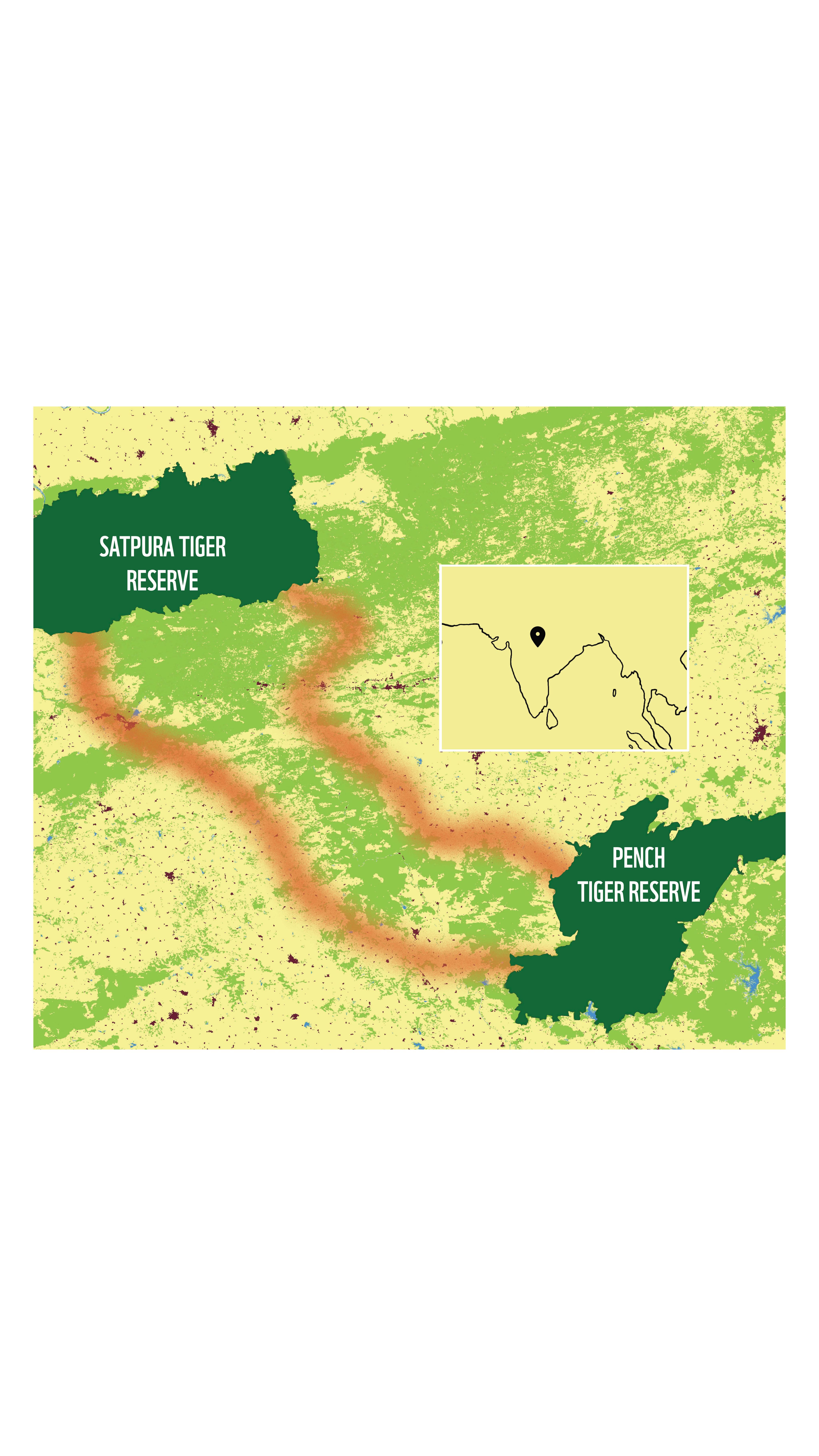 Can Farming In Wildlife Corridors Benefit People And Biodiversity