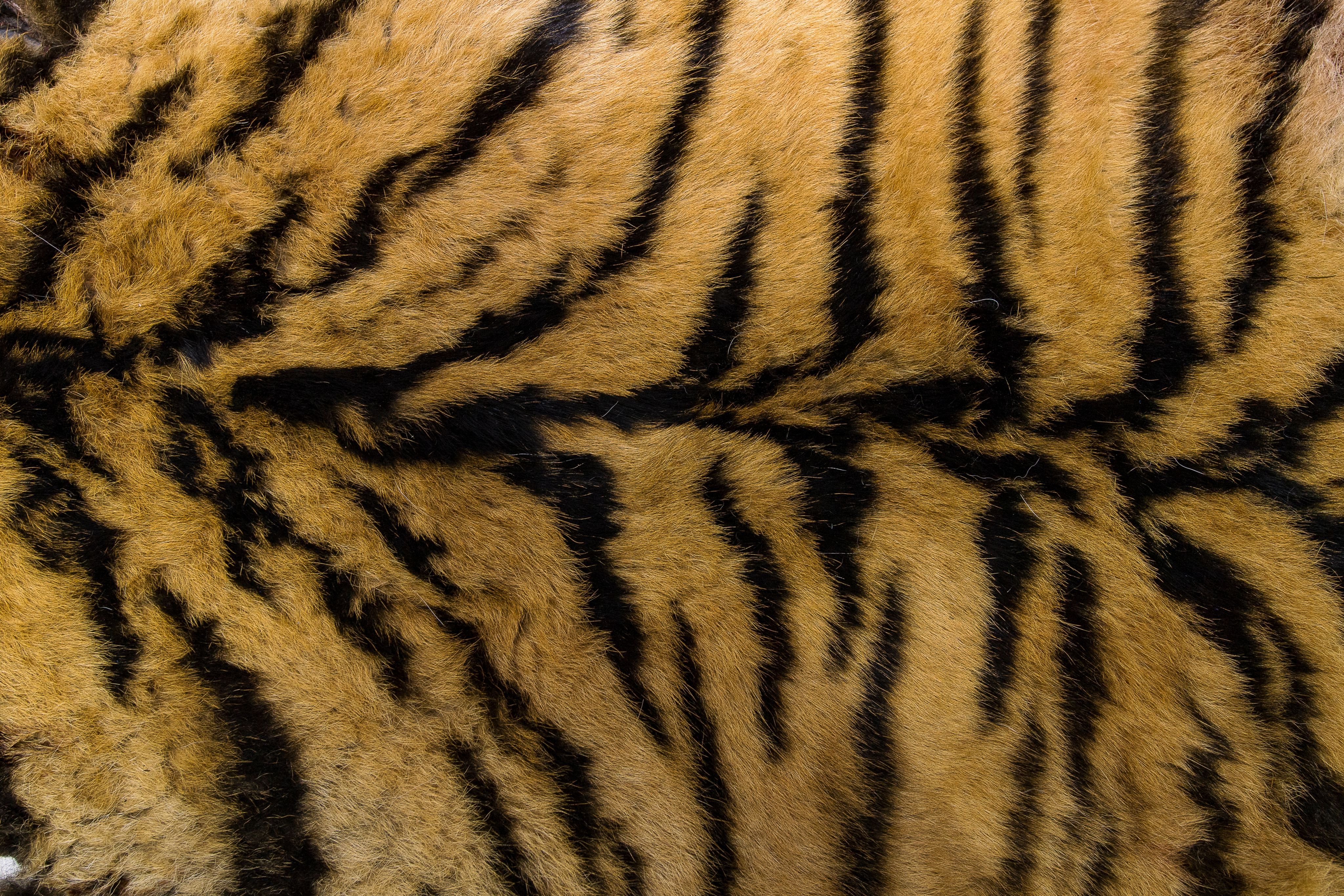 ANIMAL FUR, Wild Life Skin Texture, Real Skin Images, Digital