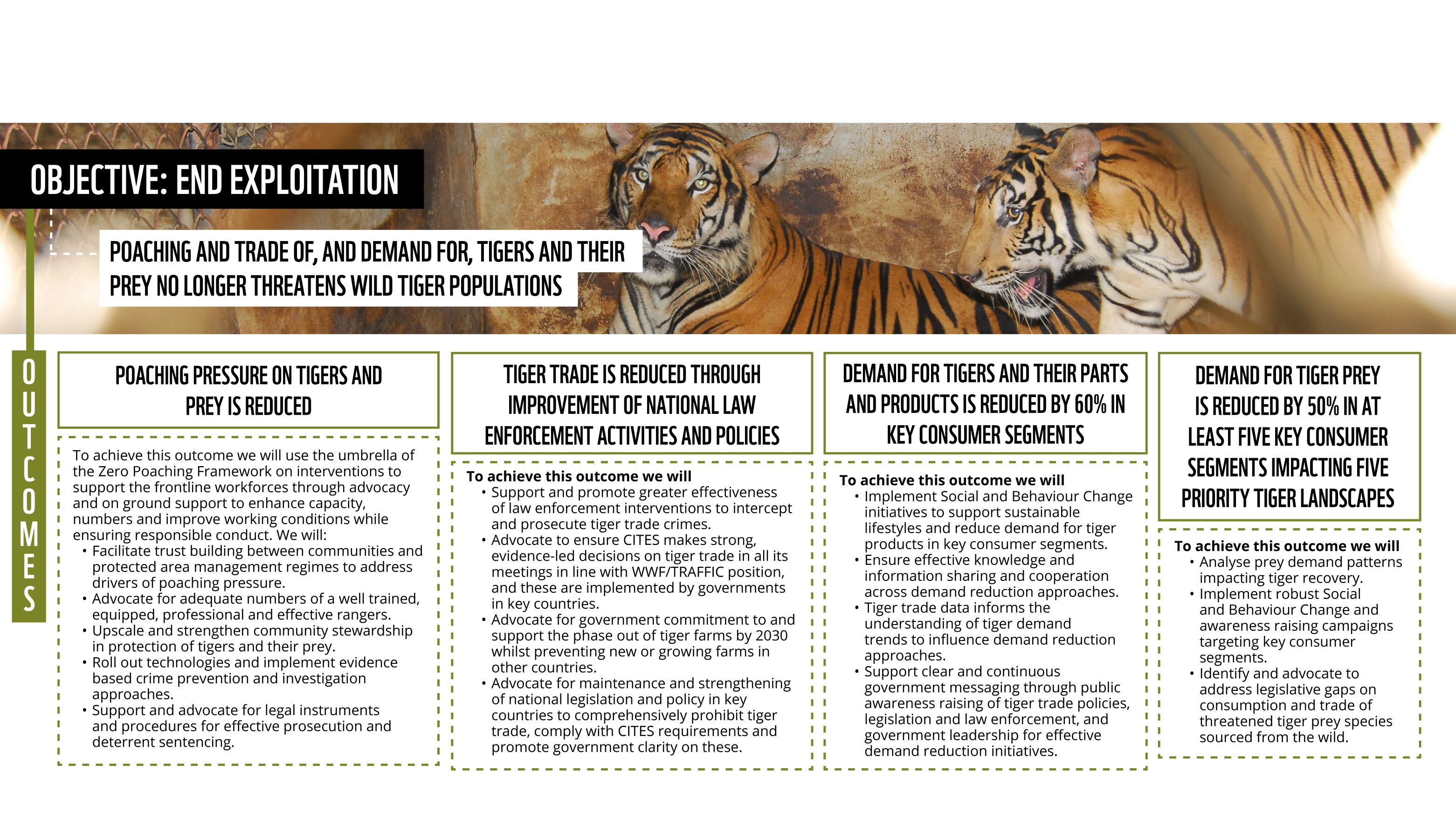 WWF Tigers Alive Initiative Strategy